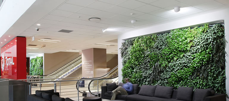 Detail Gallery Video